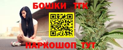 дживик Моздок
