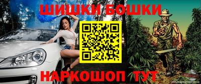 дживик Моздок