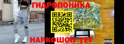 дживик Моздок