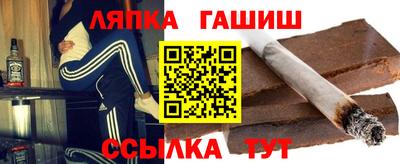 дживик Моздок