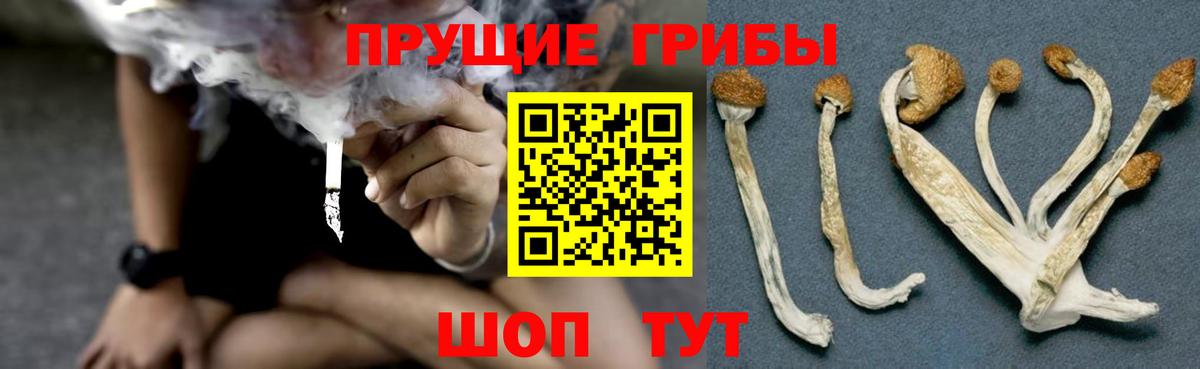 Галлюциногенные грибы прущие грибы  Псилоцибиновые грибы ЛСД  Аксай  Вход с VPN 